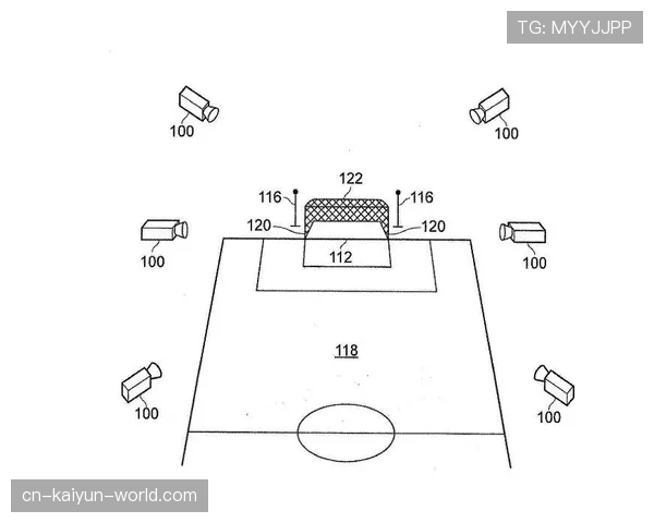 门线技术判定标准与裁判引用场景解析