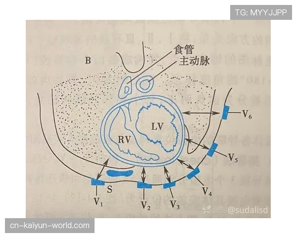 一分钟看懂八秒违例如何判定，让你不再为发球超时而困惑